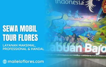 SEWA MOBIL & TOUR FLORES